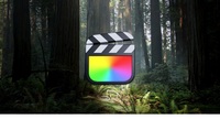 Final Cut Pro X电影剪辑