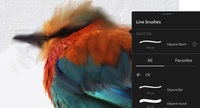 Phtoshop CS6 经典美工教学