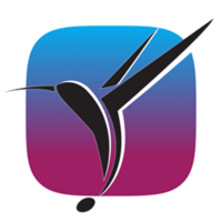 Colibri 2.0.3 破解版 原生无损音乐播放器